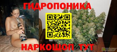 прущие грибы Малоярославец
