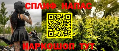 прущие грибы Малоярославец