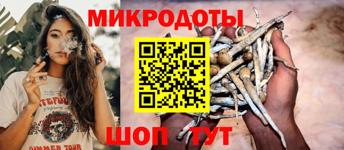 Галлюциногенные грибы GOLDEN TEACHER  Псилоцибиновые грибы Psilocybine cubensis  Гатчина  закладки  Вход с VPN 